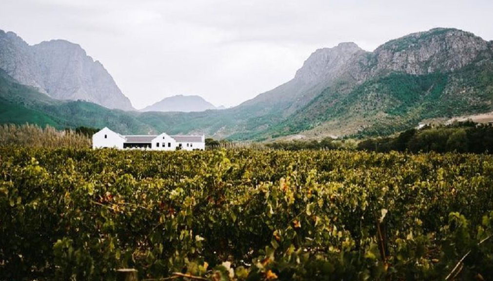 Expérience des Vignobles de Constantia - Photo 1